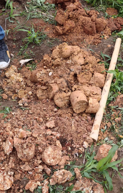 MVIMG_20251215_104044