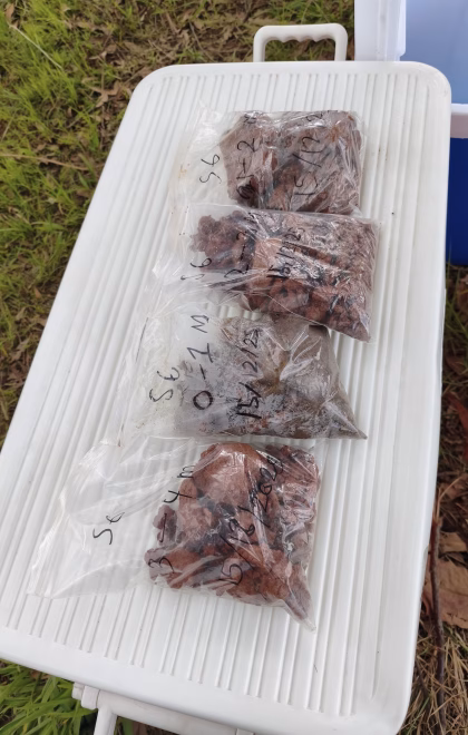 MVIMG_20251215_154631