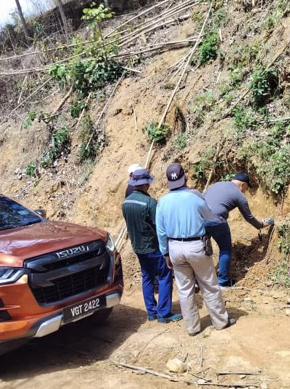 photo_6174764131320709790_y