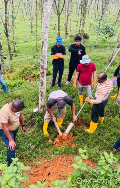 photo_6174764131320709810_y