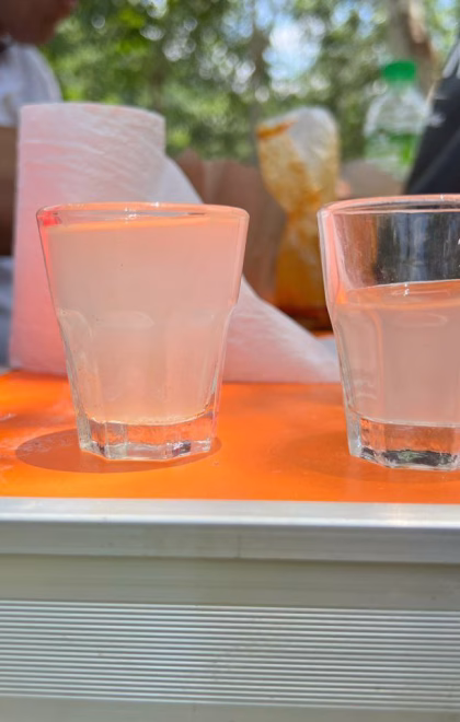 photo_6174764131320709812_y