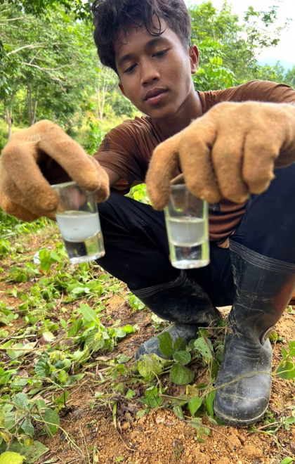 photo_6177015931134393895_y