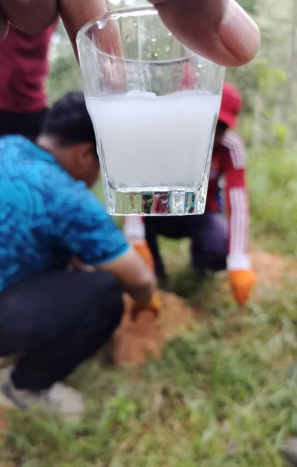 photo_6177128072730493484_y